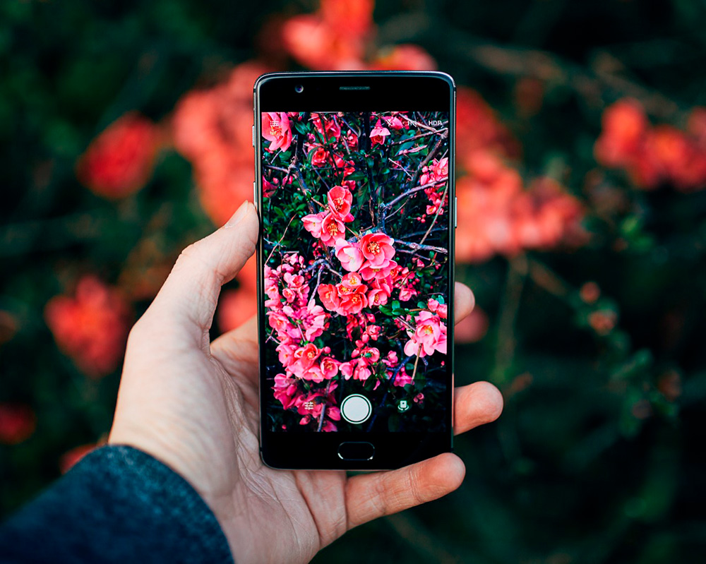 Как снимать фотографии на iPhone Как снимать фотографии на iPhone