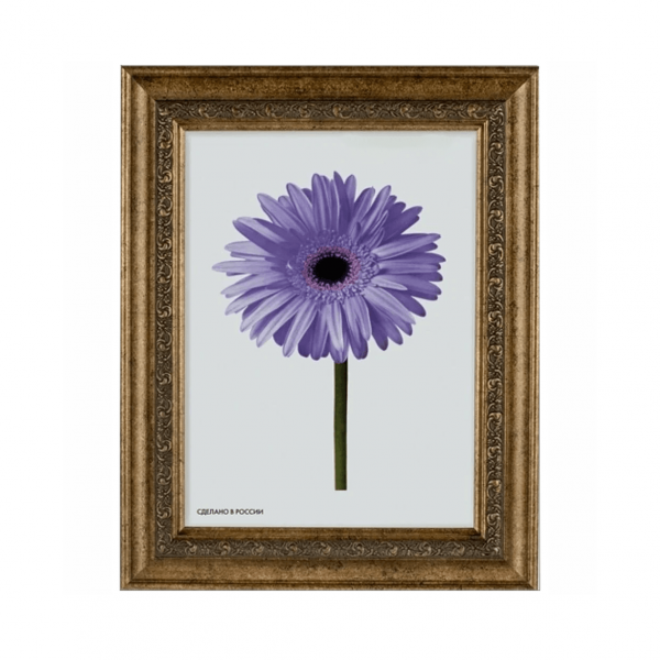 Фоторамка МЕТРИКА Дарья 15x20, старое золото