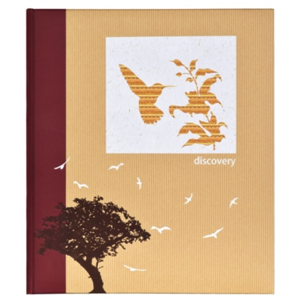 Альбом Innova Discovery Hummingbird Q7308147 для наклеивания (60стр.)